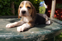 20190427_1639581