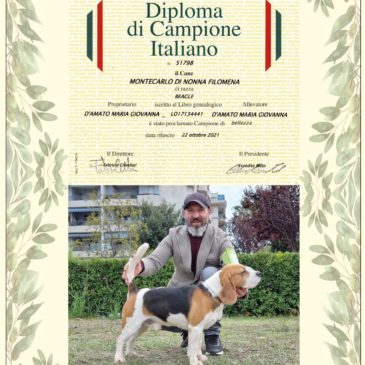 CHI SIAMO CHI SIAMO