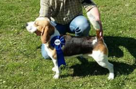 XANTEN DI CASA CALBUCCI