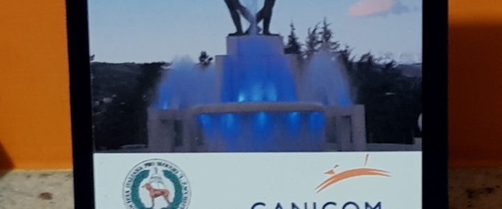 I BEAGLE DI NONNA FILOMENA 1* CLASSIFICATO DI BATTERIA I BEAGLE DI NONNA FILOMENA 1* CLASSIFICATO DI BATTERIA