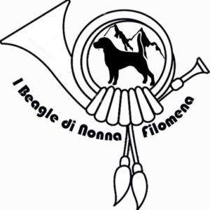 I Beagle di nonna Filomena