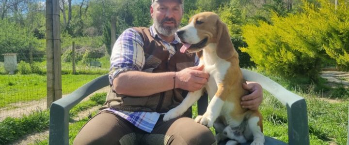 Pensione per cani