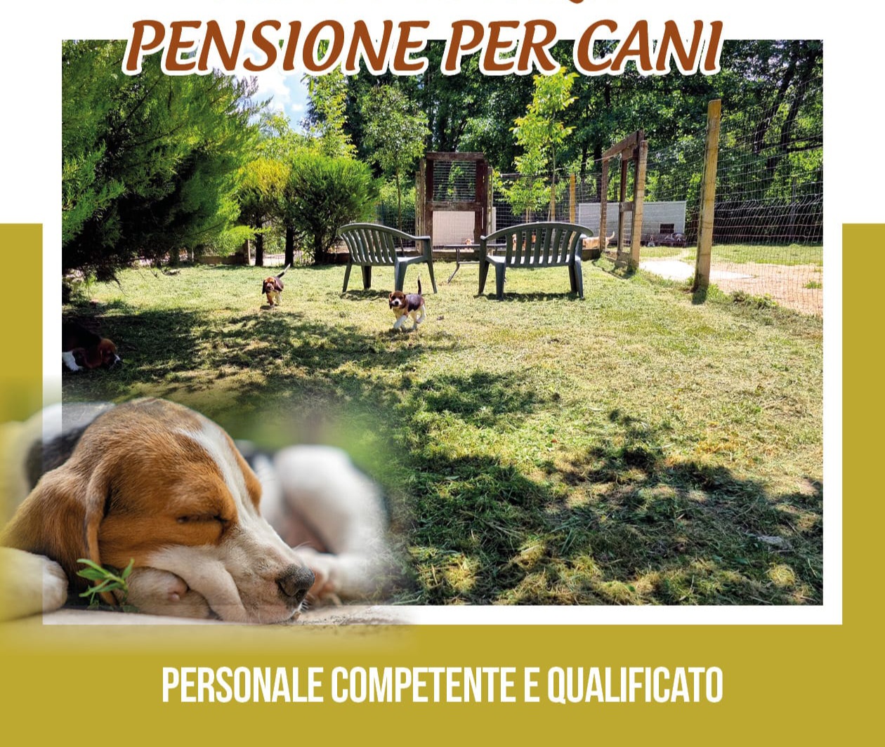 il salice pensione per cani