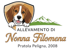 Allevamento Beagle di nonna Filomena