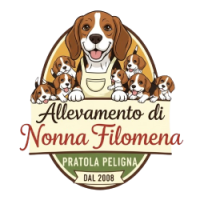 Prenotazione cucciolo