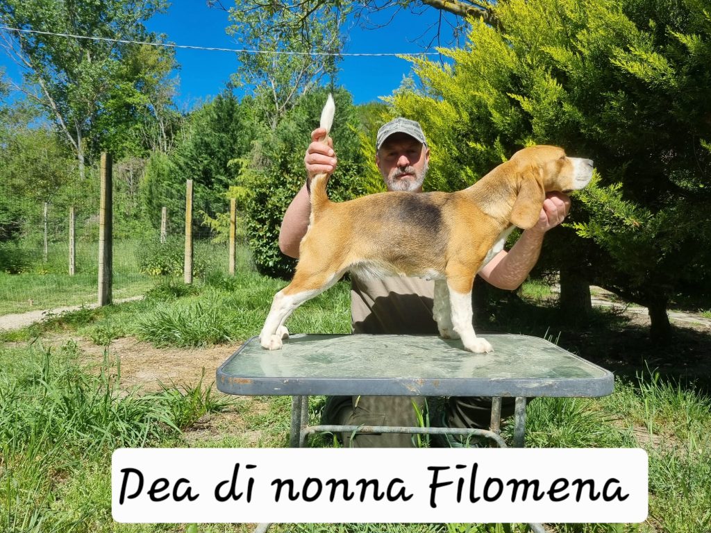Dea di nonna Filomena